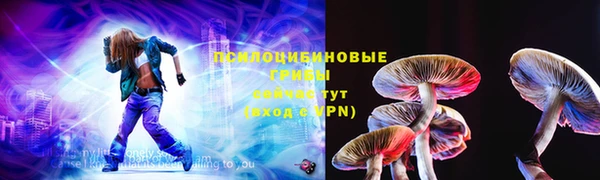 гашик Заводоуковск