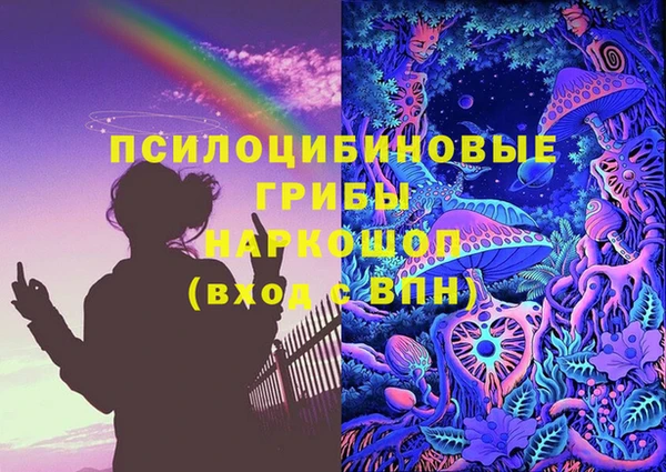 гашик Заводоуковск