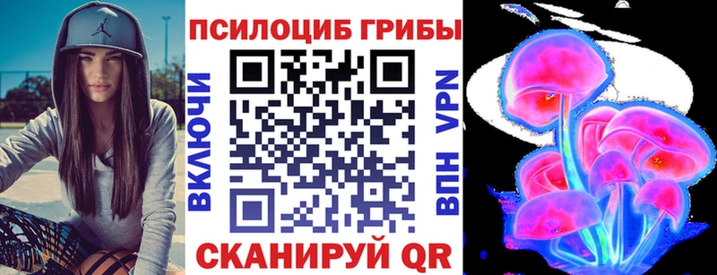 Купить закладки  Лысково  Псилоцибиновые грибы мицелий 